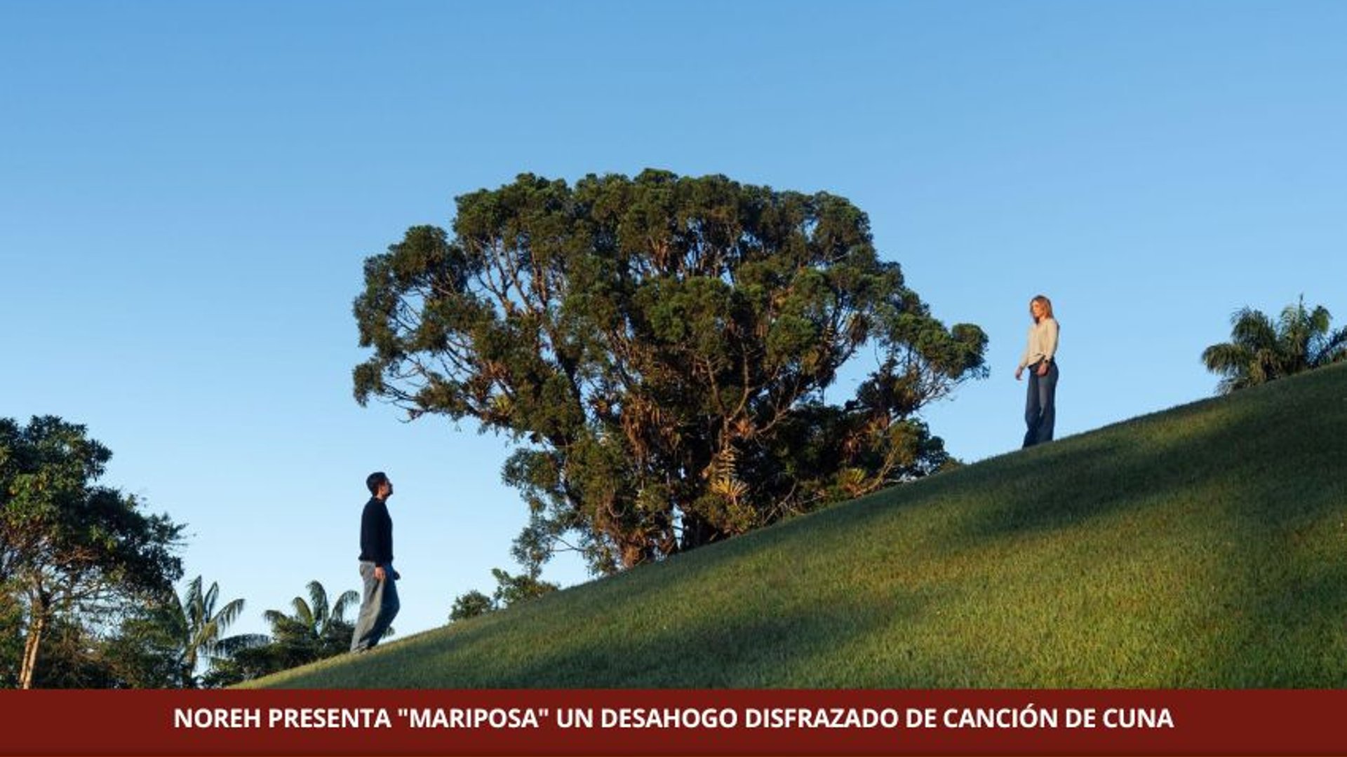 NOREH PRESENTA "MARIPOSA" UN DESAHOGO DISFRAZADO DE CANCIÓN DE CUNA