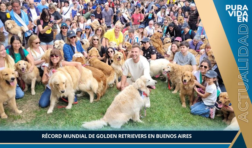 inicio pagina web (6) inicio pagina web (6)